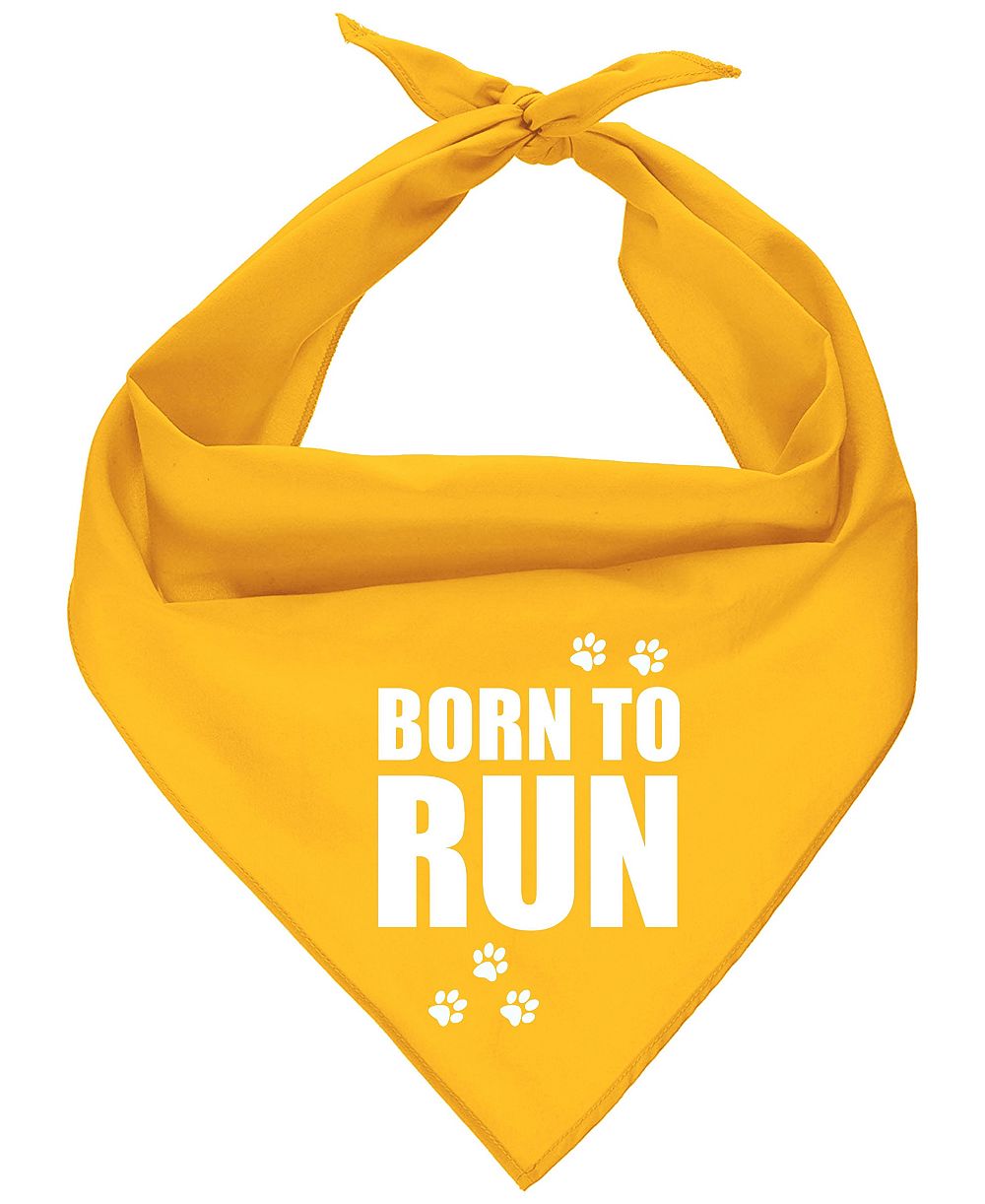 Бандана для собак Parisian Pet Born to Run
