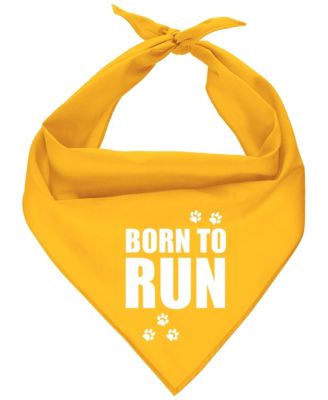 Бандана для собак Parisian Pet Born to Run