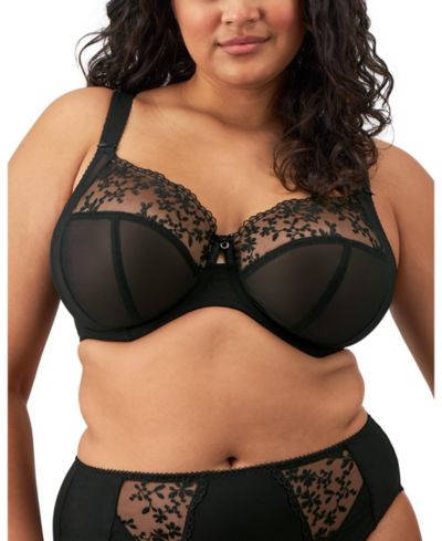 Elomi Plus Size Zarla Banded Underwire Stretch Lace Bra EL302505