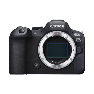 Зеркальная камера Canon EOS R6 Mark II Black