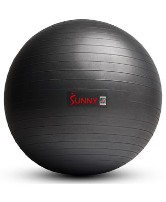 Йога-мяч Sunny Health & Fitness Premium Large 75CM с насосом