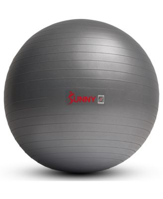 Фитнес-мяч Sunny Health & Fitness Premium Yoga Ball 65CM с насосом