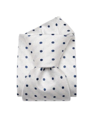 Мужской шелковый галстук Elizabetta Big & Tall Tiburtina Silk Jacquard