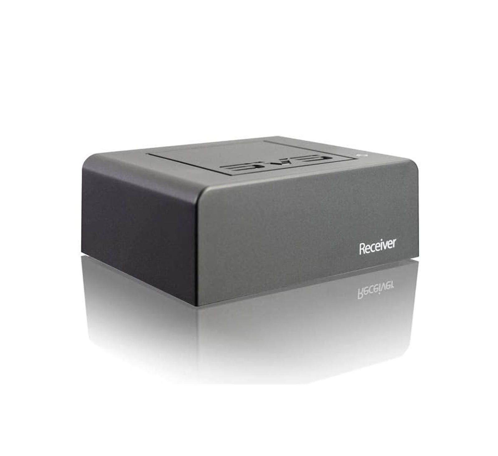 SVS SoundPath Tri-Band Wireless Receiver for SoundPath Wireless Audio Adapter