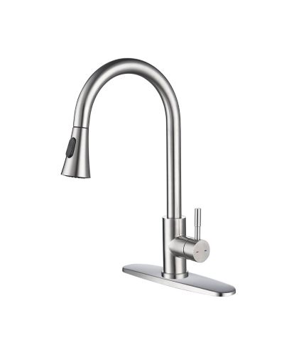 Kitchen Faucet with Pull Out Spraye