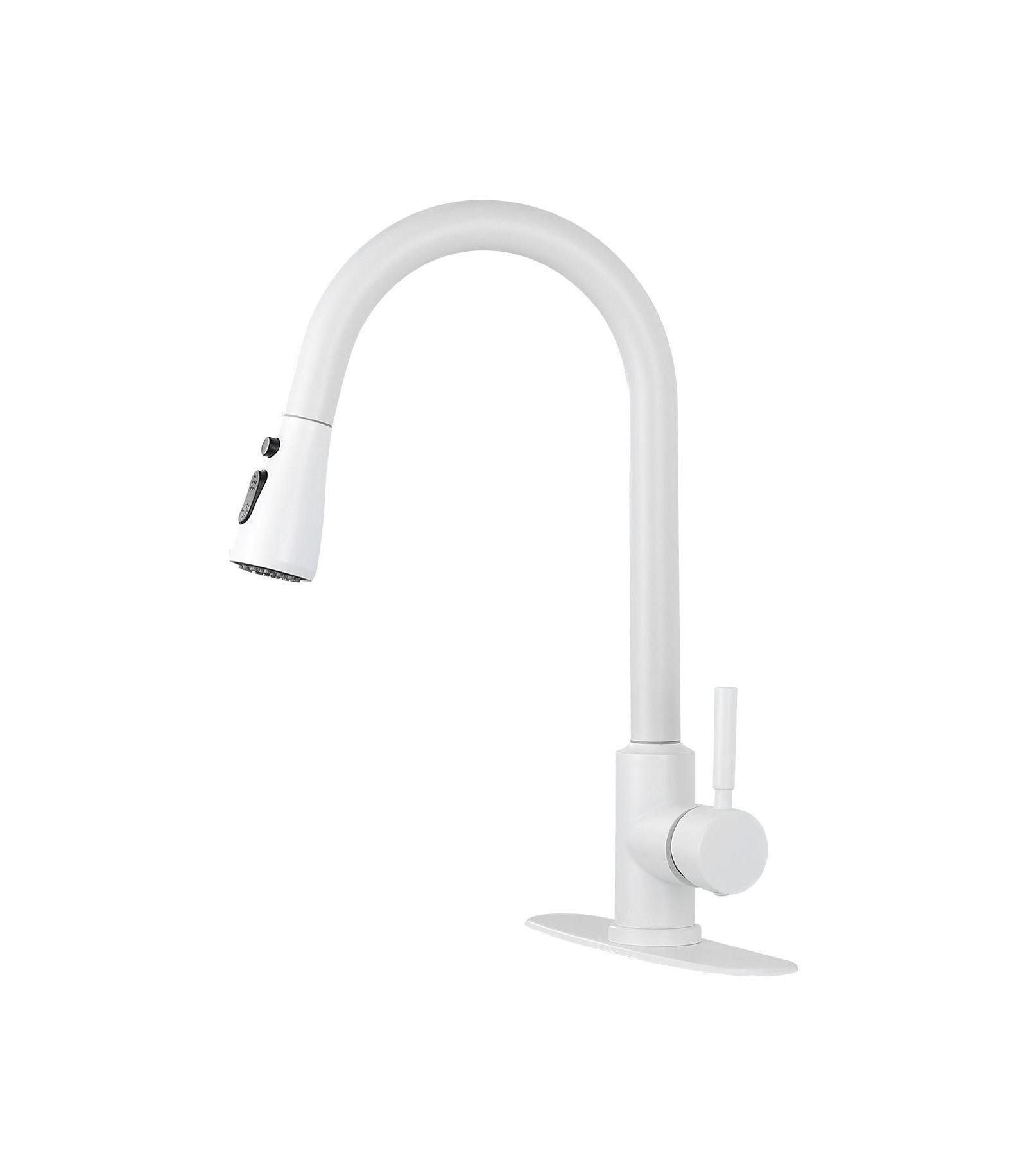 Flynama Kitchen Faucet with Pull Out Spraye