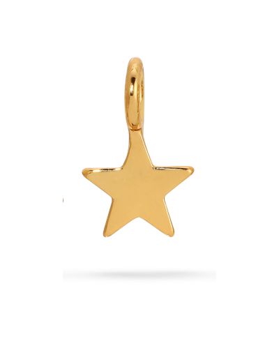 Подвеска Lucky Feather Charm Garden - Star Charm