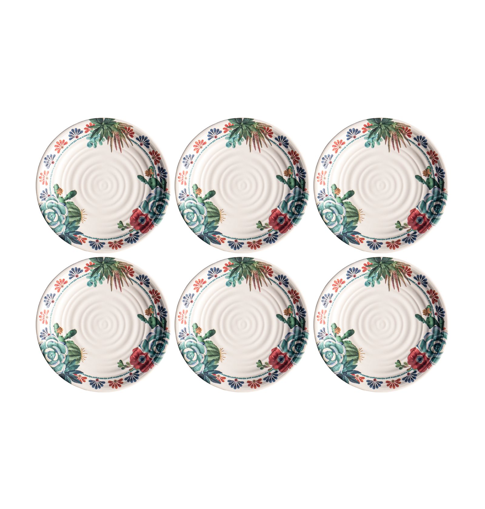 Abode Homewares Desert Succulent 6-Pc. Dinner Plates, Service For 6