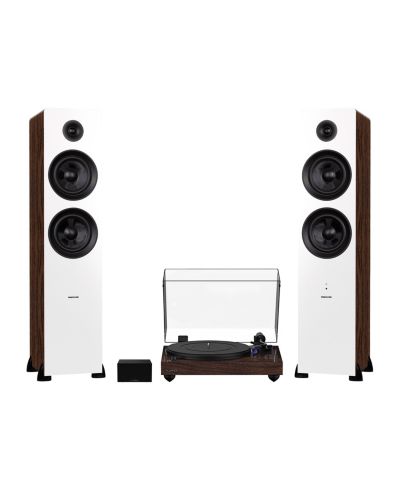 Walnut / white walnut