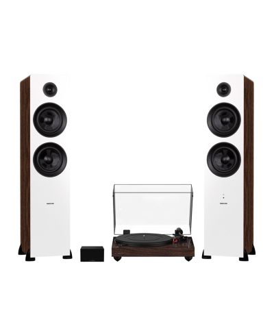 Walnut / white walnut