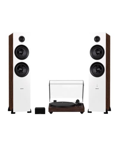 Walnut / white walnut