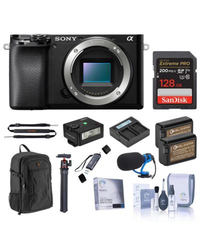 Sony Alpha a6100 Mirrorless Camera, Bundle with Accessories Kit