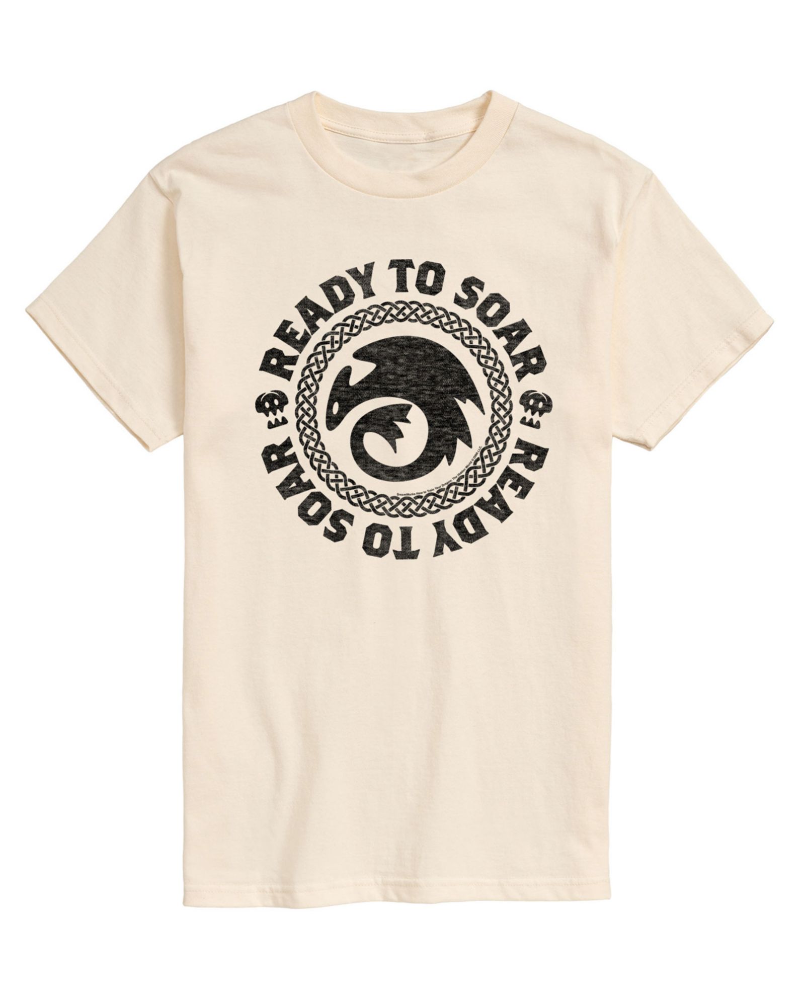 AIRWAVES Men's How to Train Your Dragon Ready to Soar Short Sleeve T-Shirt
