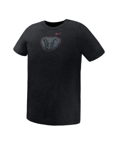 Nike Preschool Black Alabama Crimson Tide Legend Color Pop Performance T-Shirt