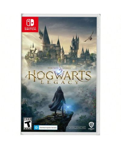 Hogwarts Legacy for Nintendo Switch