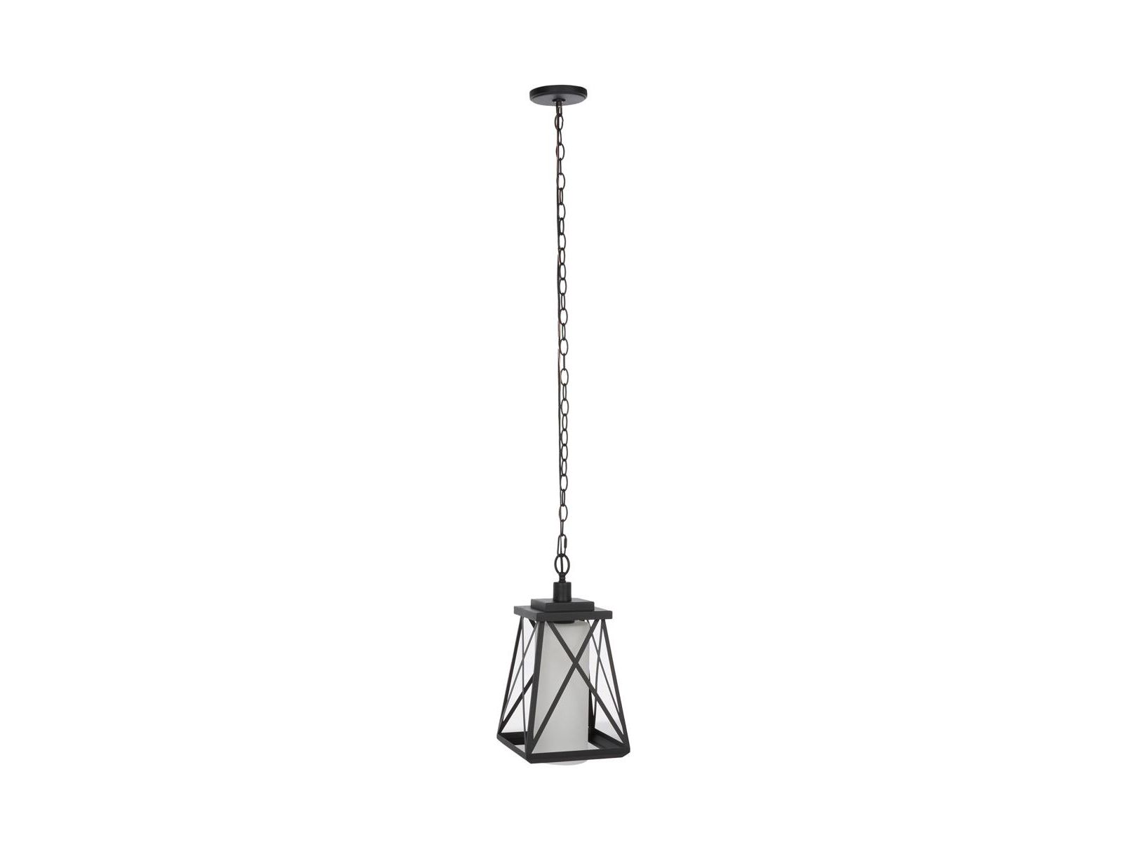 Braith 9.1" Outdoor Pendant