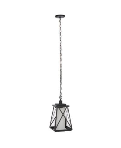Braith 9.1" Outdoor Pendant