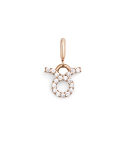 Daniel Wellington Женский Rose Gold Tone Stainless-Steel Watch Charm