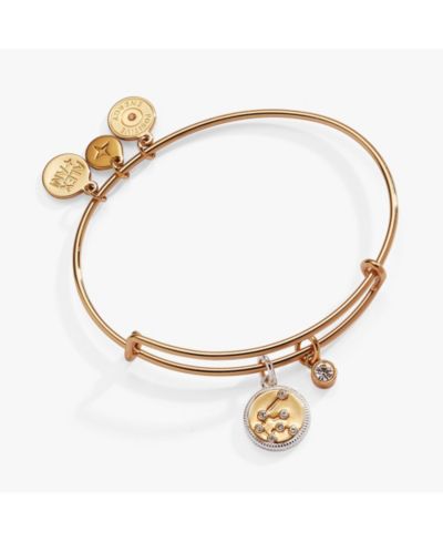 Zodiac Bangle Bracelet Aquarius