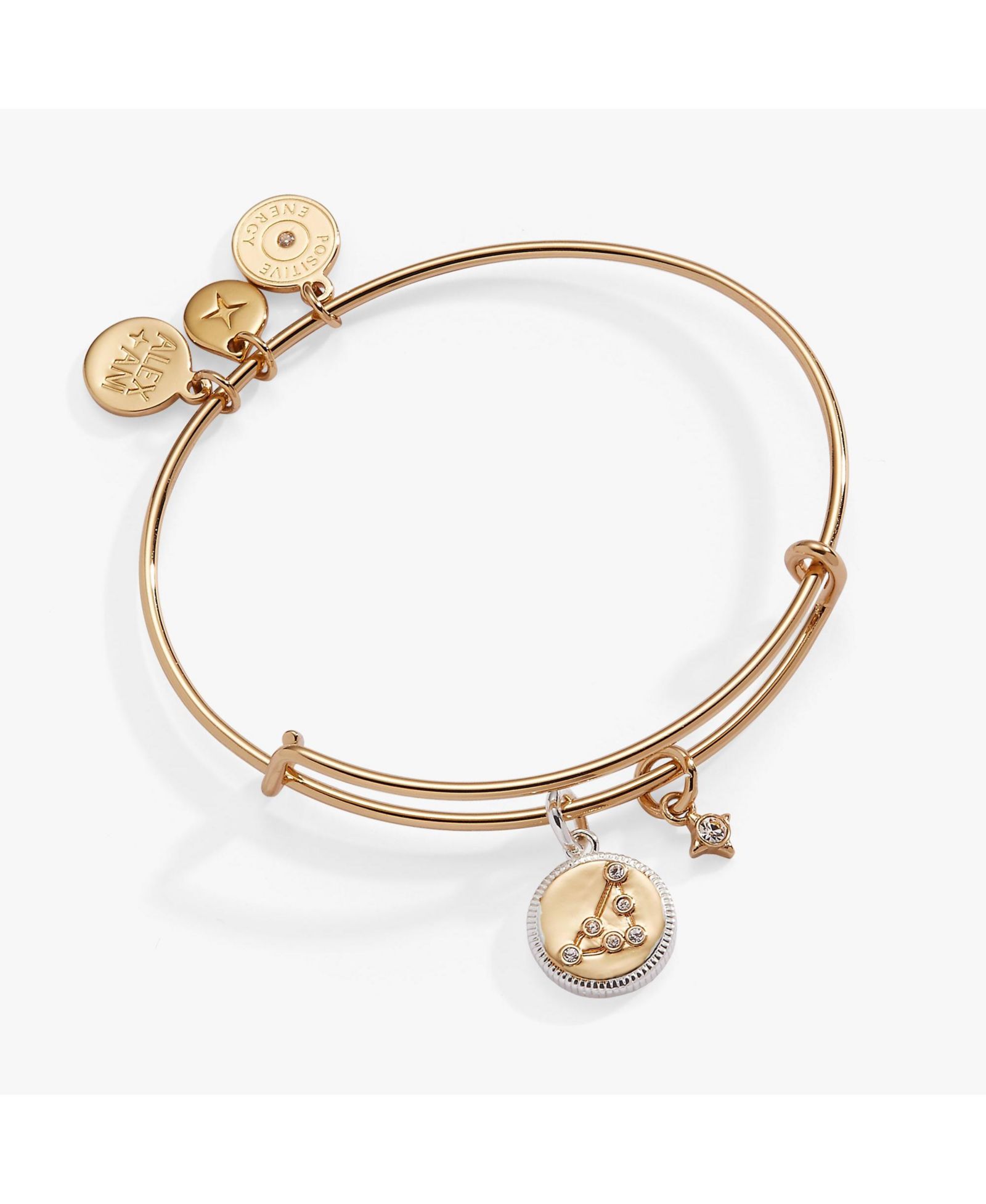 Браслет Zodiac Bangle Capricorn