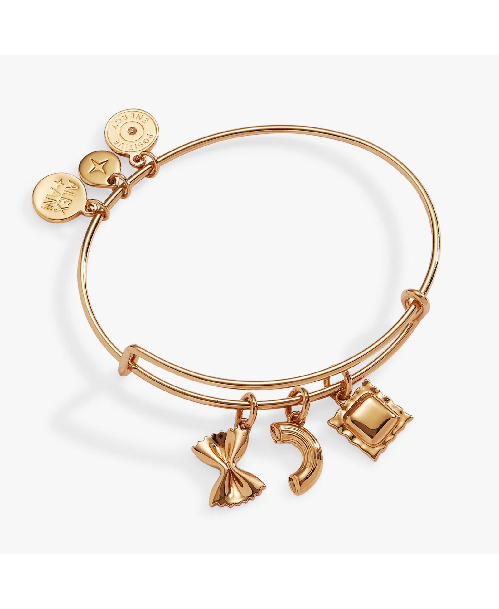 Браслет Alex and Ani Bangle Multi Charm Pasta