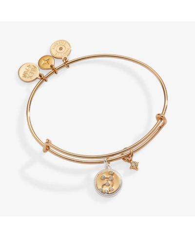 Zodiac Bangle Bracelet Virgo