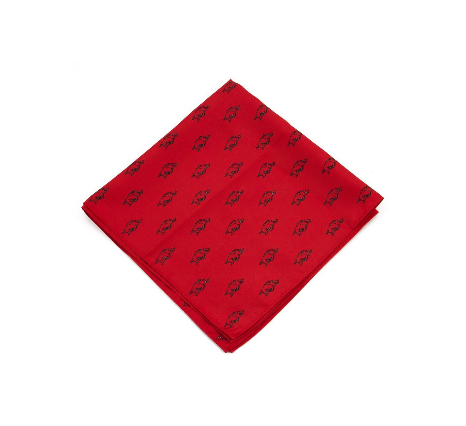 Eagles Wings Arkansas Razorbacks Kerchief Pocket Square