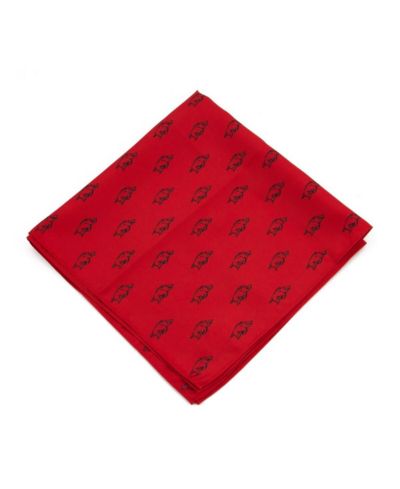 Нагрудный платок Eagles Wings Arkansas Razorbacks Kerchief Pocket Square