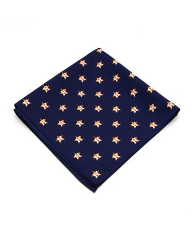 Eagles Wings нагрудный платок Houston Astros