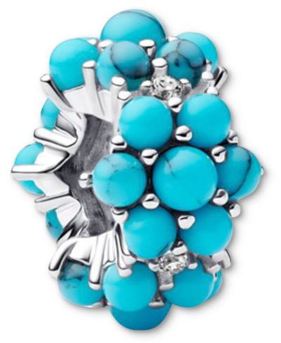 Pandora Turquoise Ocean Charms