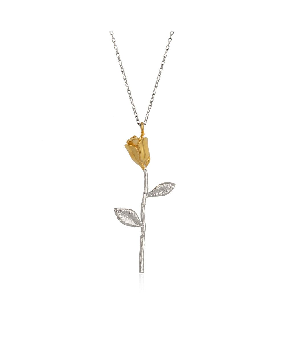 Серебряное ожерелье Spero London Color