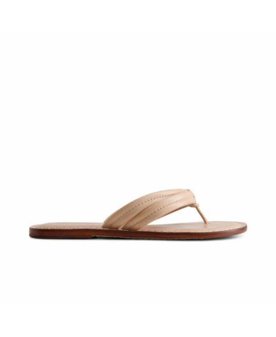 Сандалии Bernardo Footwear Miami Thong