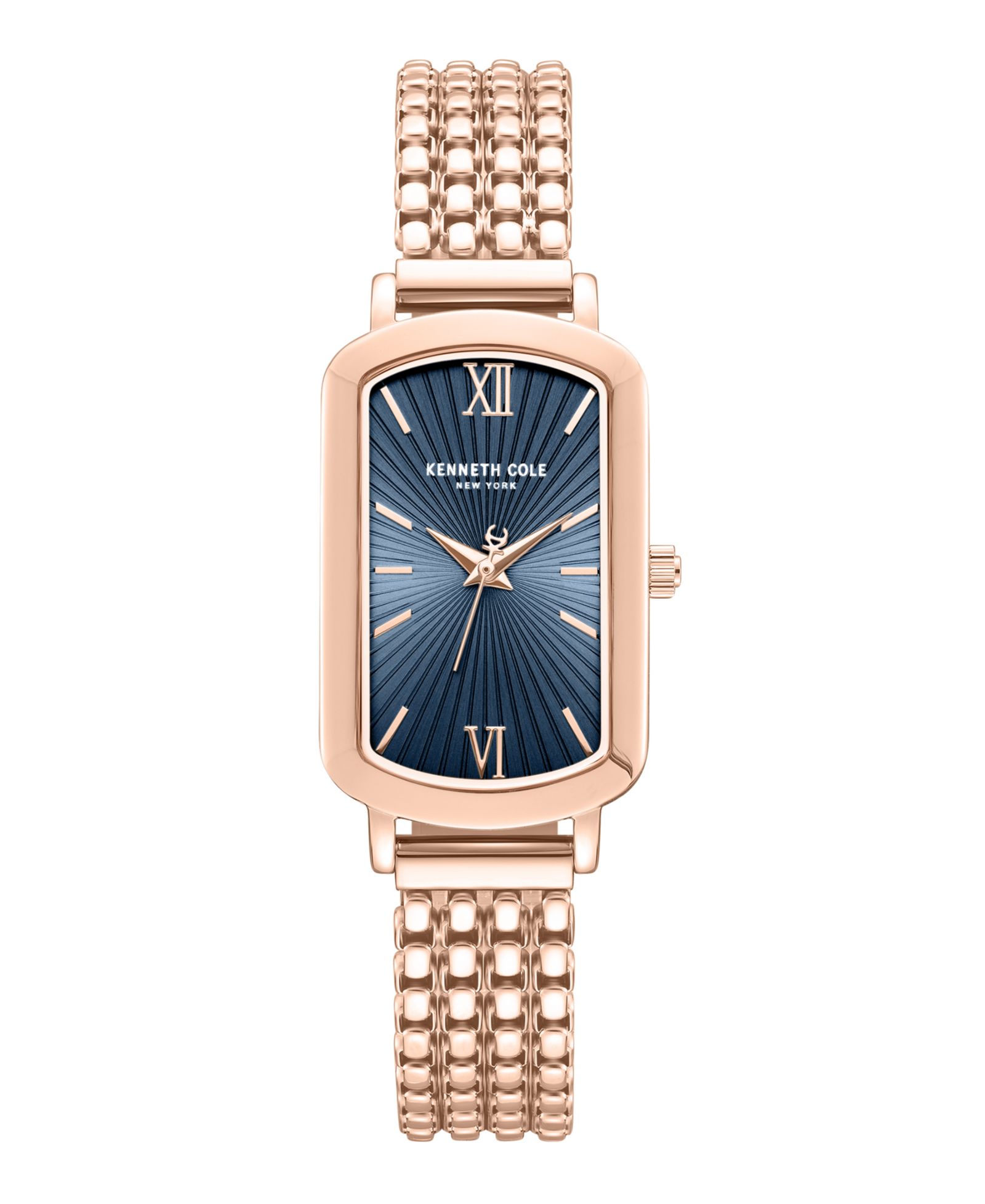Женские часы Kenneth Cole New York Modern Classic, 22mm