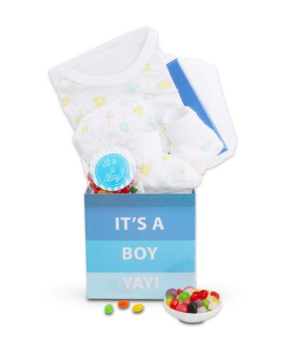 Подарочный набор Alder Creek It's a Boy, 4 предмета