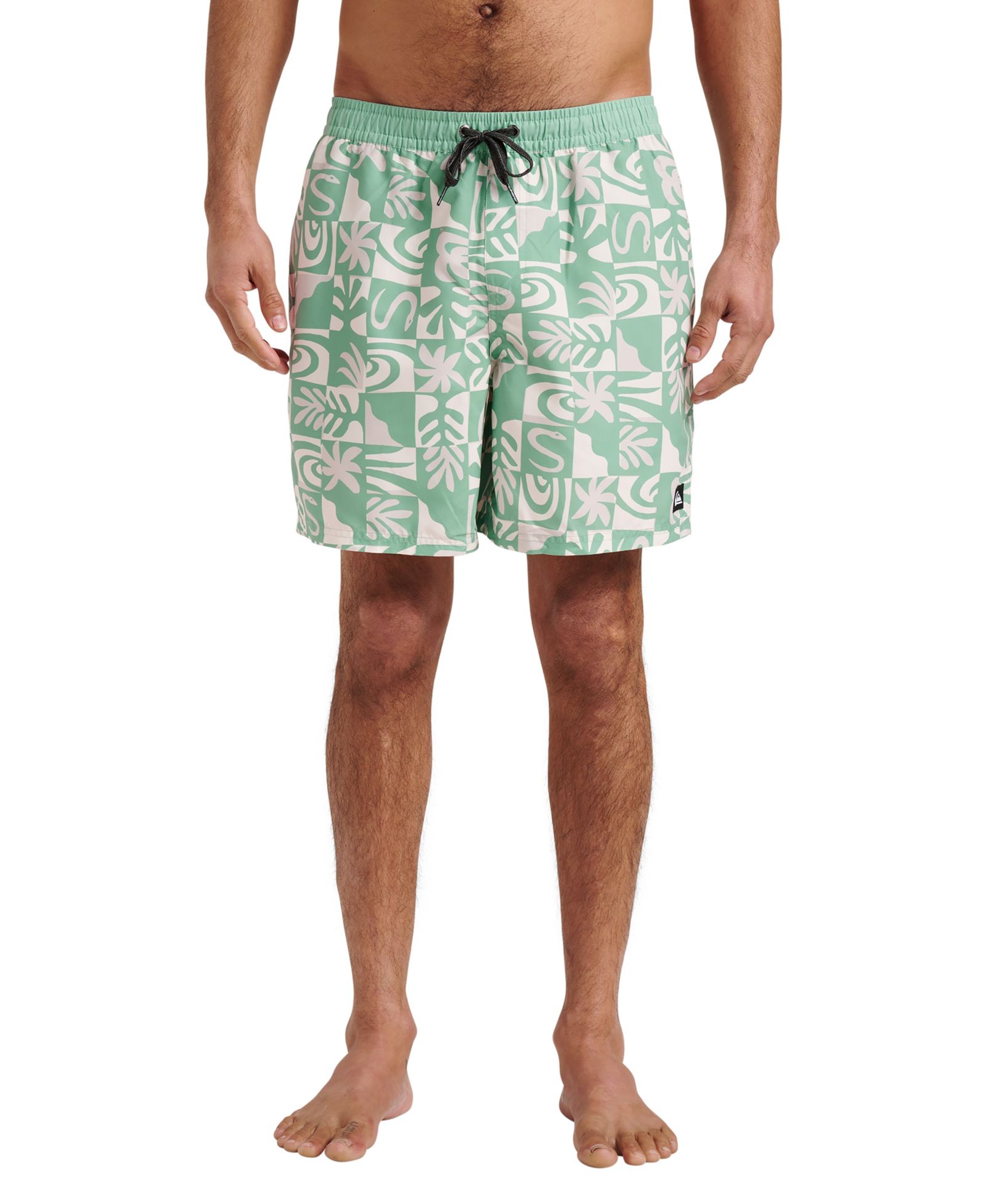 Мужские плавательные шорты Quiksilver Everyday Volley Terra