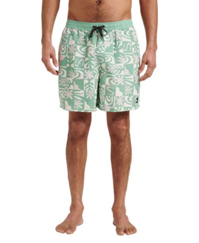 Quiksilver Men's Everyday Volley Terra Swim Shorts