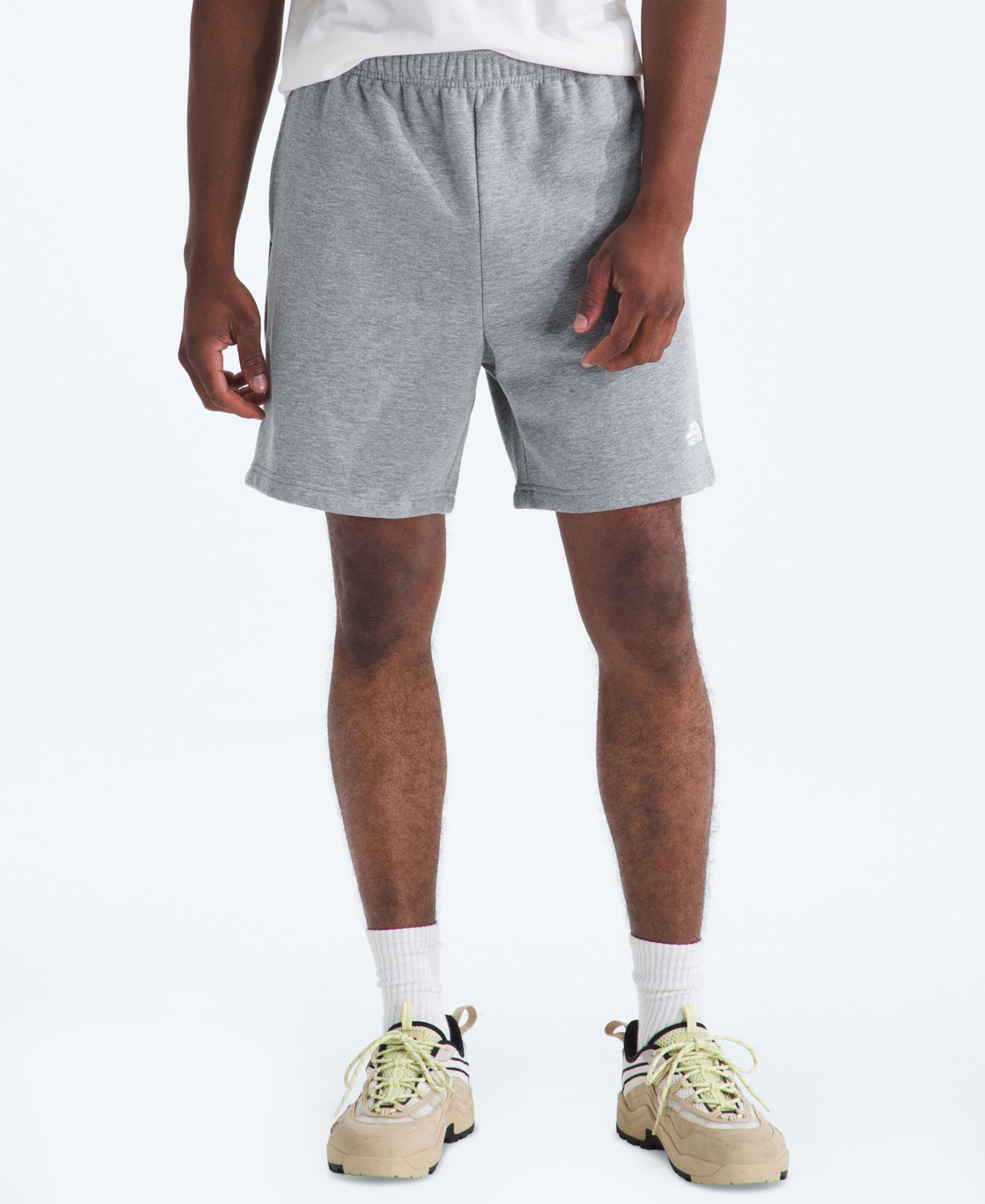 The North Face Men's Evolution Simple Dome Regular-Fit Shorts