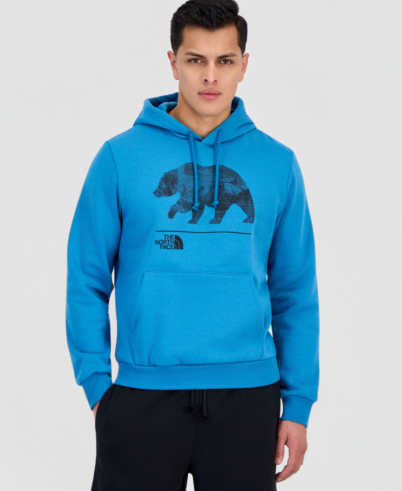 Мужская толстовка The North Face Evolution Mountain Bear