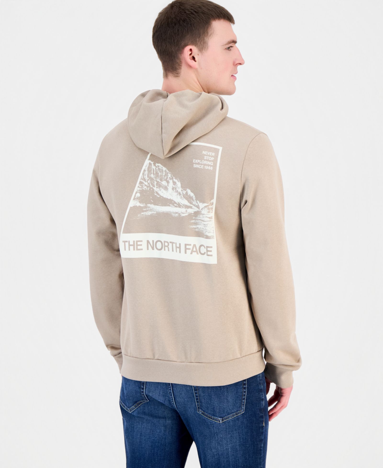 Мужское худи The North Face Evolution Retro NSE Regular