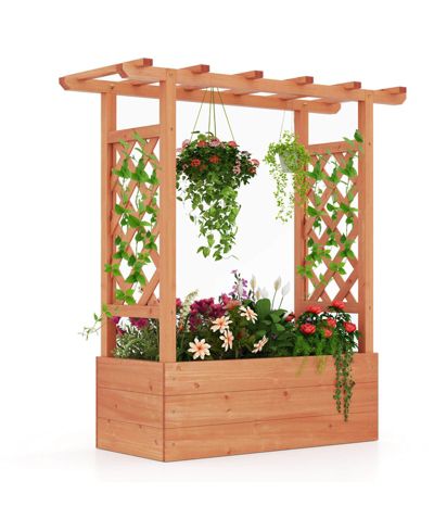 Деревянная приподнятая садовая грядка Costway с решеткой и навесом, elevated planter box
