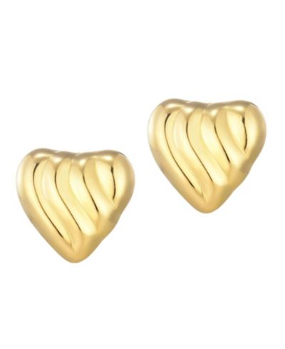 ADORNIA Серьги-гвоздики Stainless Steel Heart Statement