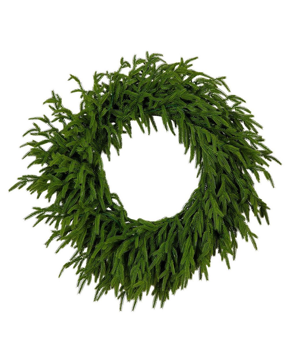 Nearly Natural 24" Pre-Lit Artificial Touch Norfolk Island Pine Wreath LED Lights and Natural Look