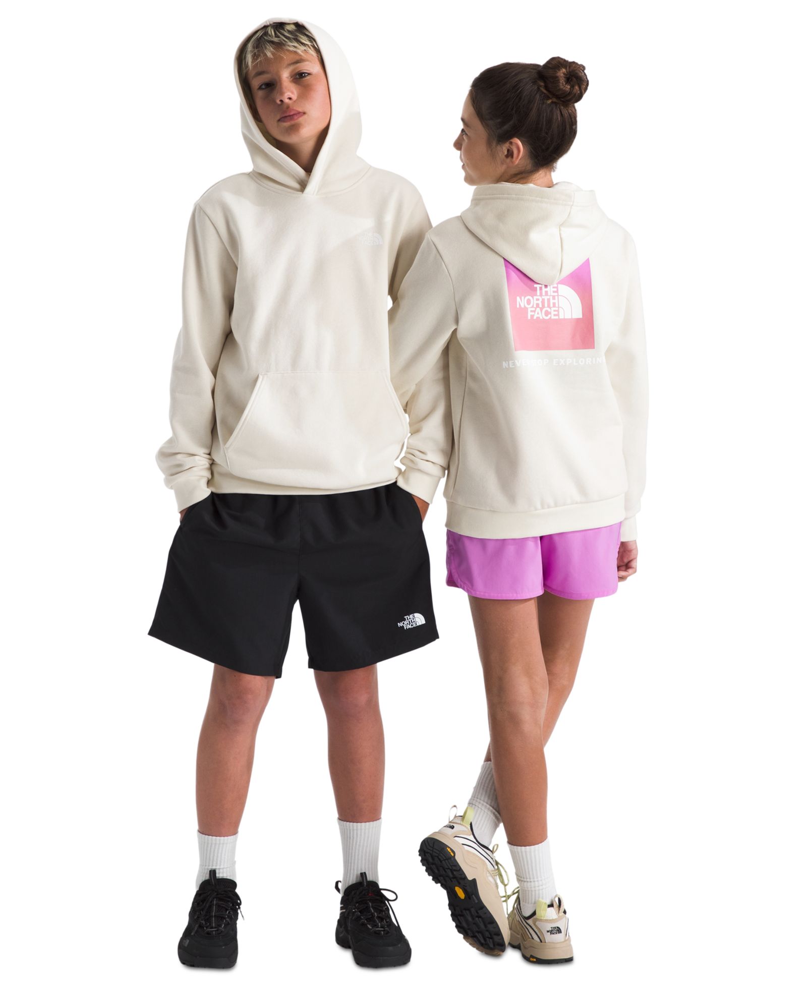 Худи The North Face Evolution Box NSE Pull-On для детей и подростков