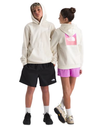 Худи The North Face Evolution Box NSE Pull-On для детей и подростков
