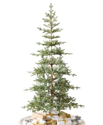Alpine Balsam Fir|7.5|LEDCF