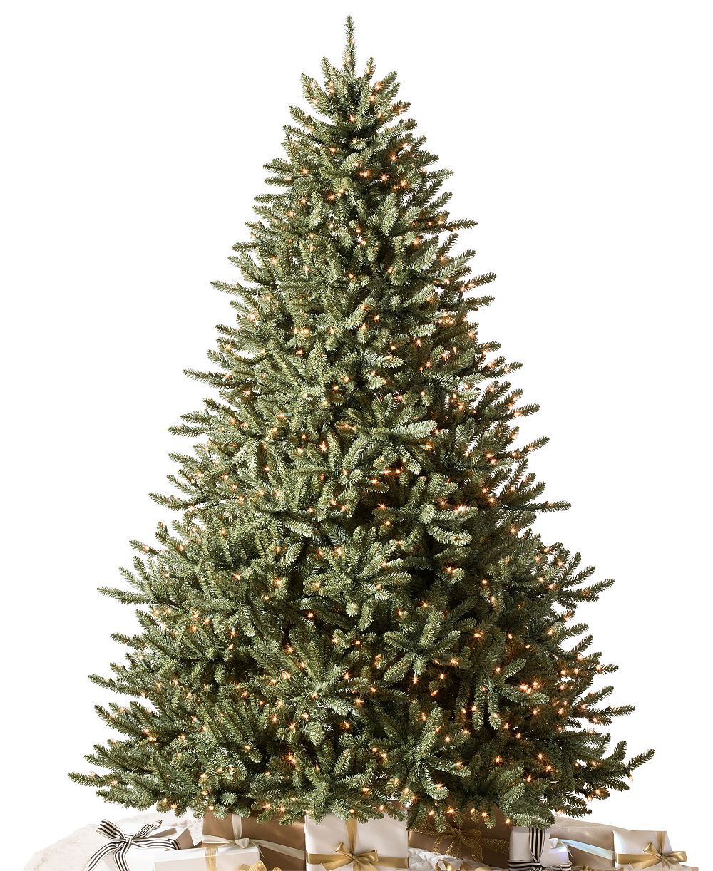 Classic Blue Spruce|9|LEDC