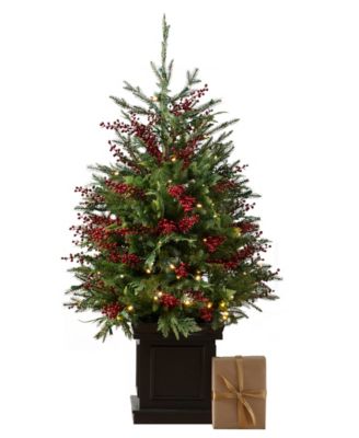 Outdoor Red Berry Evergreen Potted Tree|4|LEDC|BO