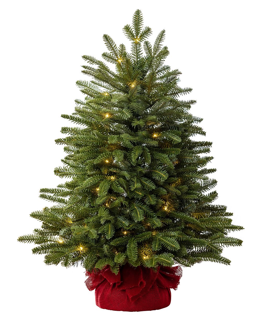 BH Fraser Fir|2.5|LEDCF|BO