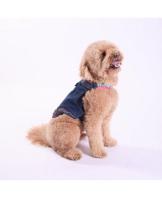 Комплект Trina Turk Denim Jacket & Harness Set-S
