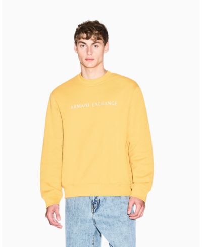 A|X Armani Exchange Мужской худи с графическим принтом на груди